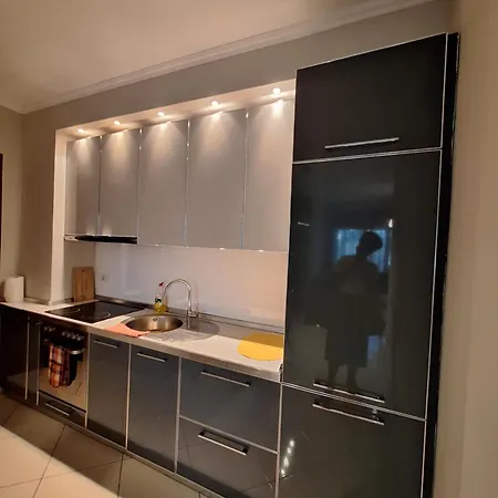 Stylish 1-bedroom 公寓 地拉那